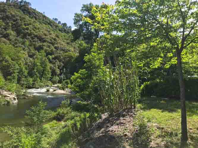 Emplacement au bord de l'eau camping en cévennes