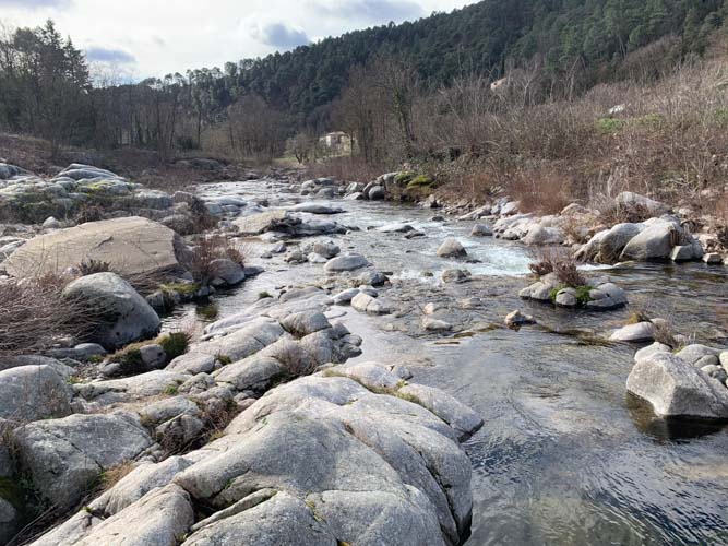 Parcours de pêche no kill en cévennes