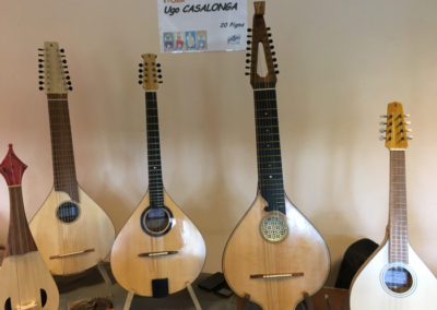 Exposition des instruments des luthiers boulegan a l'ostal