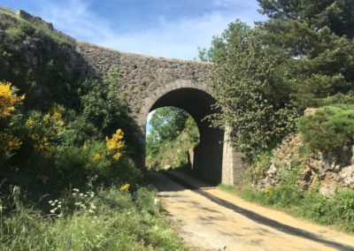 Pont moutonnier surplombant la D20 reliant la vallée de l'Hérault à celle du gardon