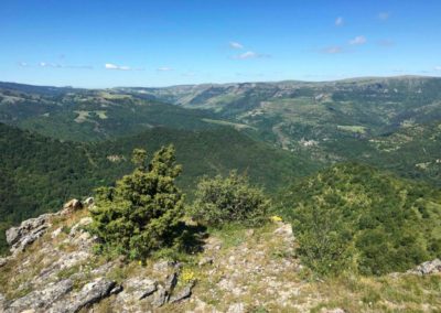 Vue sur le tarnon depuis la can de l'hospital