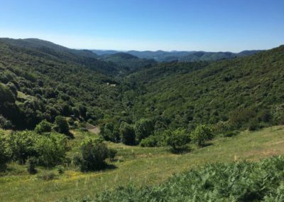 Cévennes Depuis le col du Mercou