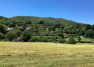 Bancels de Soudorgues cultures en terrasse