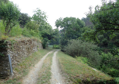 Randonnée vallée française rondeves chemin