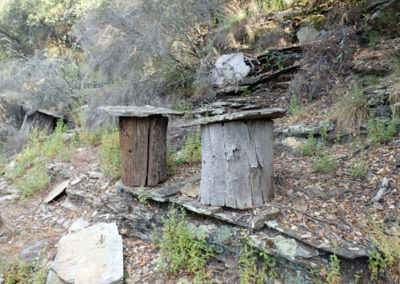 Randonnée vallée française rondeves Ruches tronc