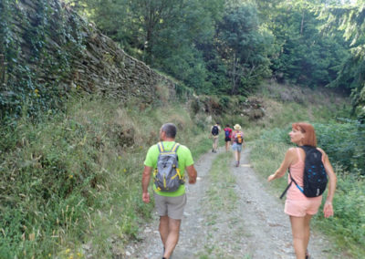 Randonnée vallée française rondeves chemin le long d'un mur en schiste